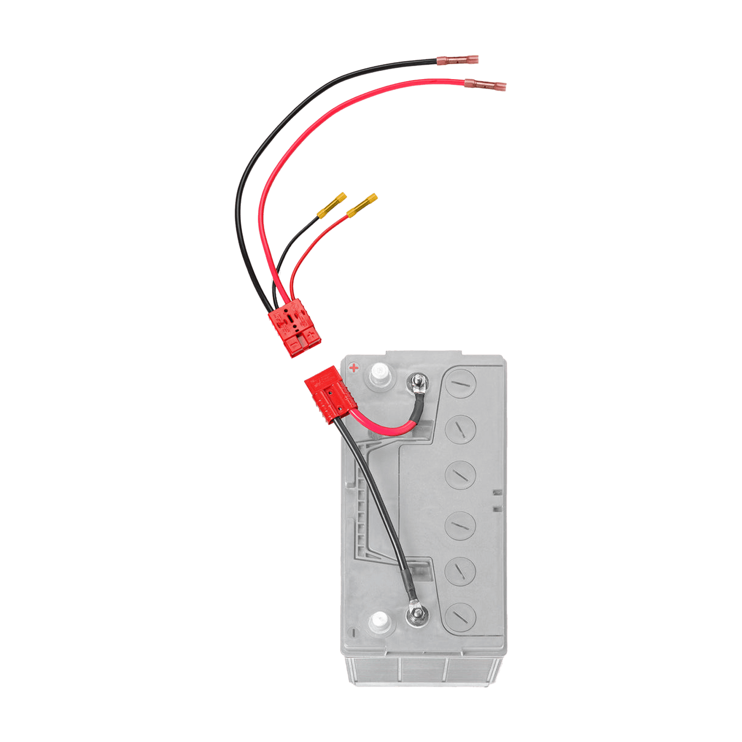 Dakota Lithium 12 Volt Trolling Motor Connection Kit (With On Board Charging)
