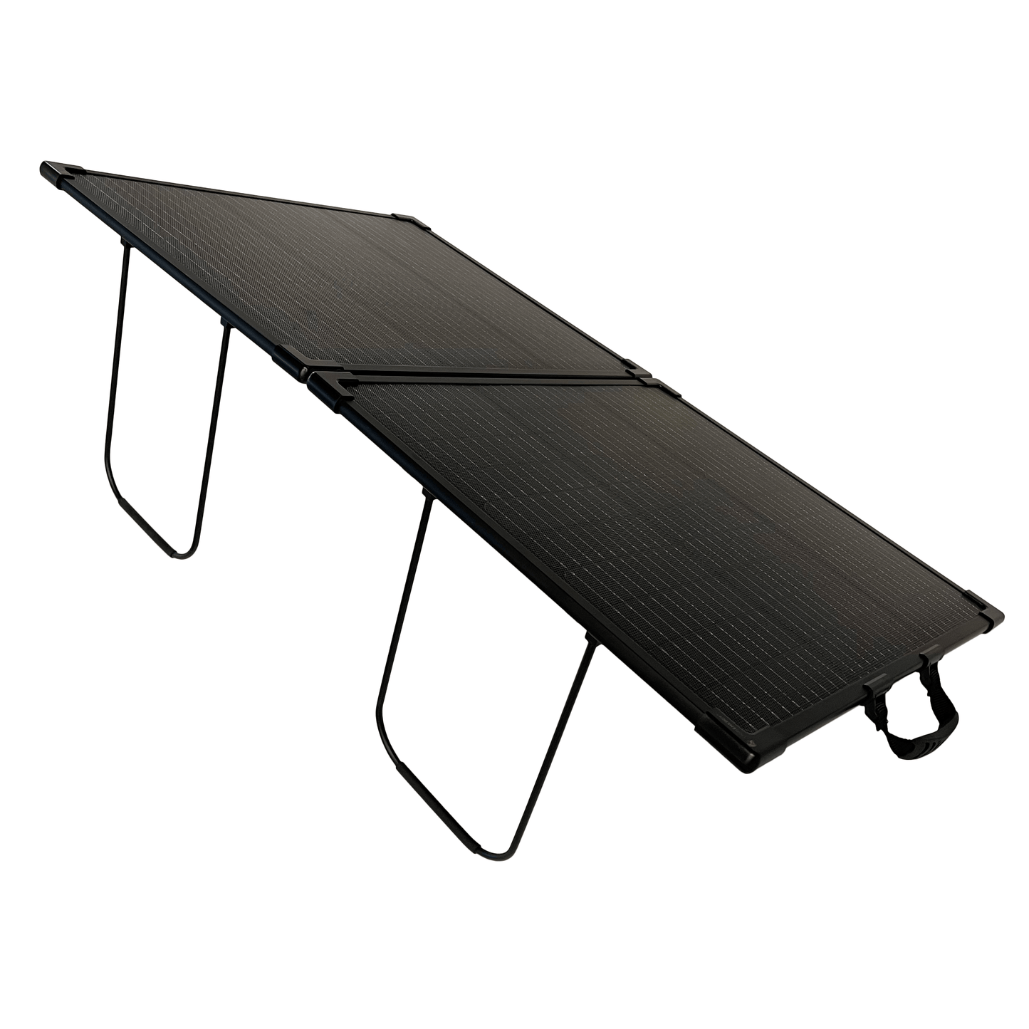 Lion Energy -100W LW 12V Solar Panel