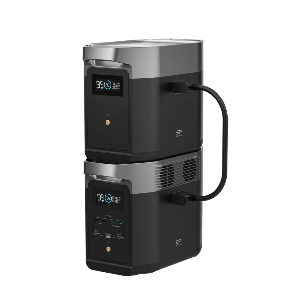 EcoFlow DELTA 2 + DELTA 2 Smart Extra Battery