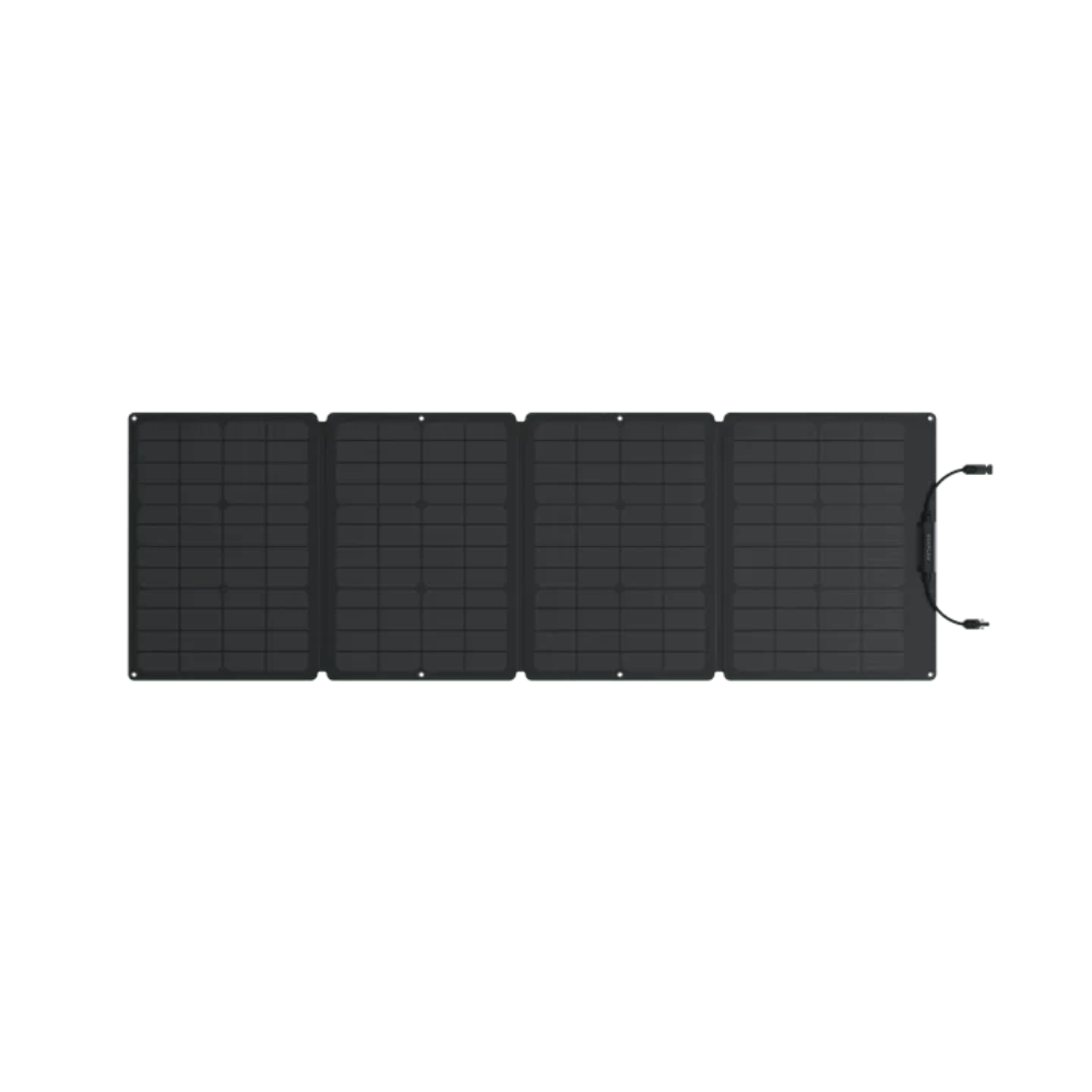 EcoFlow DELTA 3 Plus + 2*110W Solar Panel