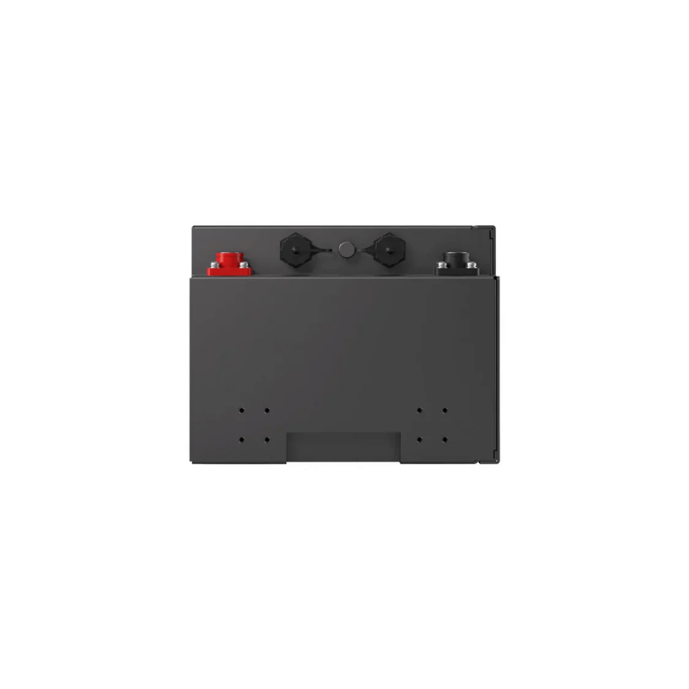 Renogy Pro S1 12V 120Ah / 240Ah LiFePO4 Battery