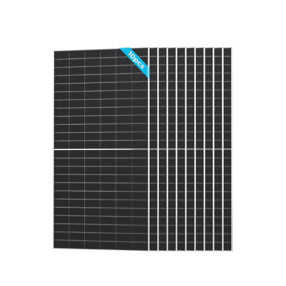 Renogy 590W N-Type Bifacial Solar Panel(2-Pack)