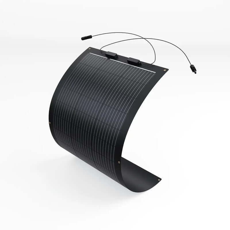 Renogy 100W Lightweight Flexible Solar Panel(Black Division)