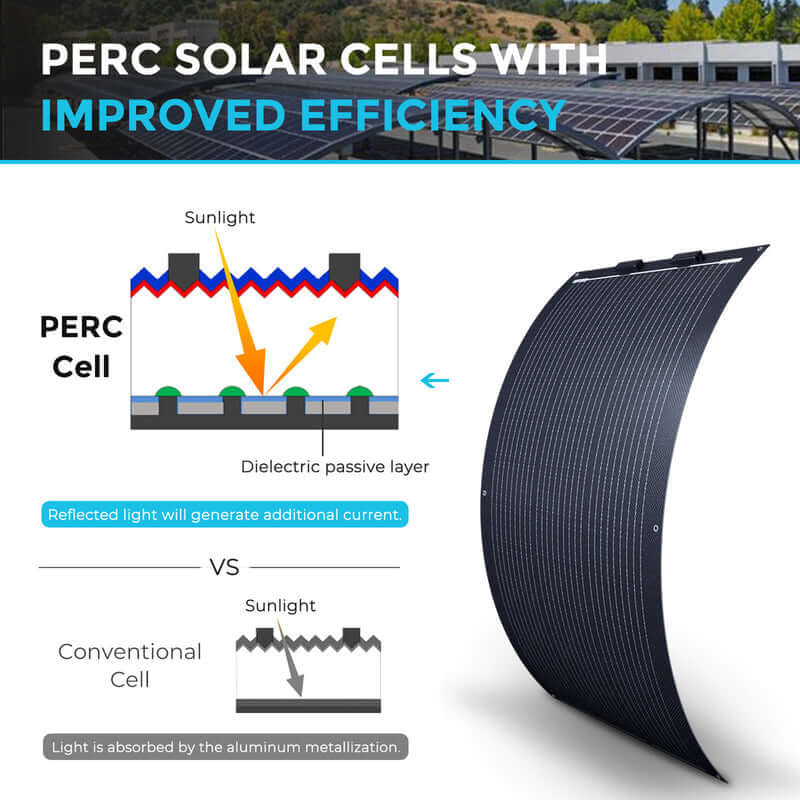 Renogy 100W Lightweight Flexible Solar Panel（Black Division）