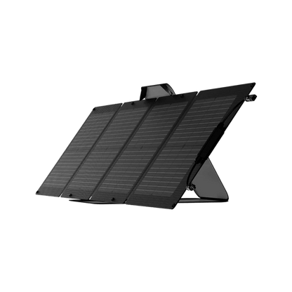 EcoFlow DELTA 3 Plus + 2*110W Solar Panel