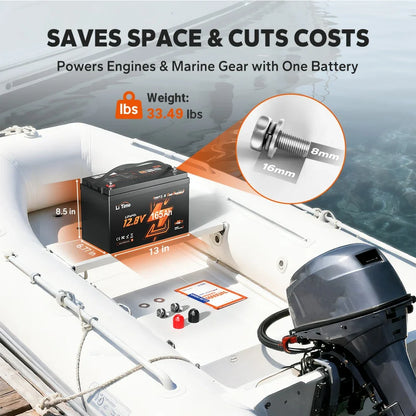 LiTime 12V 165Ah 1200 CCA Dual-Purpose Marine Bluetooth Lithium Battery