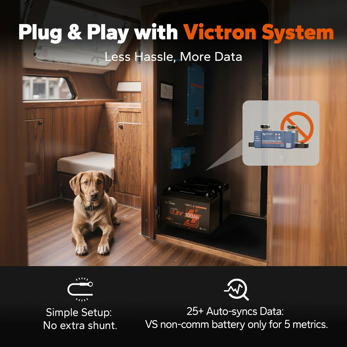 LiTime 12V 100Ah Smart ComFlex Bluetooth LiFePO4 Lithium Battery
