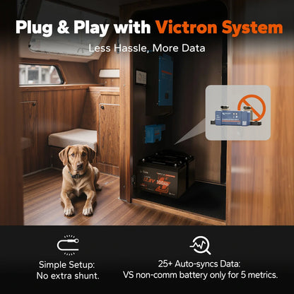 LiTime 12V 100Ah Smart ComFlex Bluetooth LiFePO4 Lithium Battery