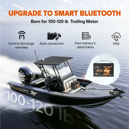 LiTime 36V 50Ah Group 31 LiFePO4 Trolling Motor Battery with Bluetooth