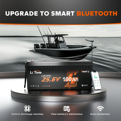 LiTime 24V 100Ah Bluetooth LiFePO4 Lithium Battery with Low-Temp Protection