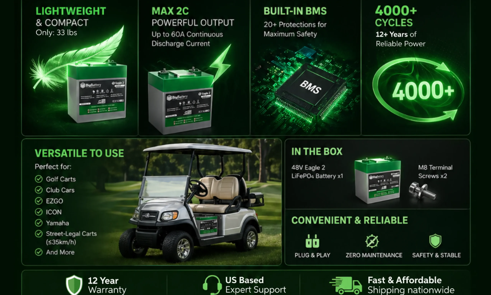 BigBattery 48V EAGLE 2 32Ah 1.63kWh LiFePO4 Golf and Utility Cart Battery