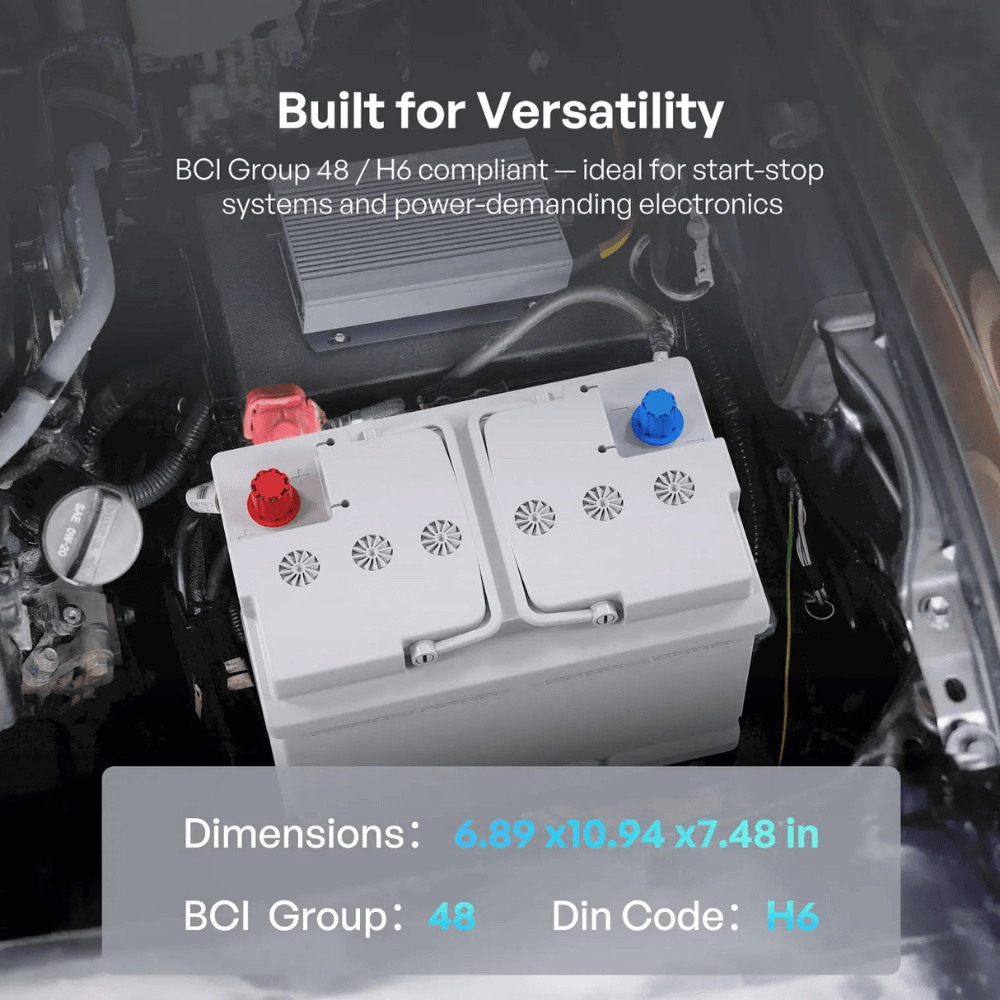 Renogy 12V 100Ah/200Ah Deep Cycle AGM Battery