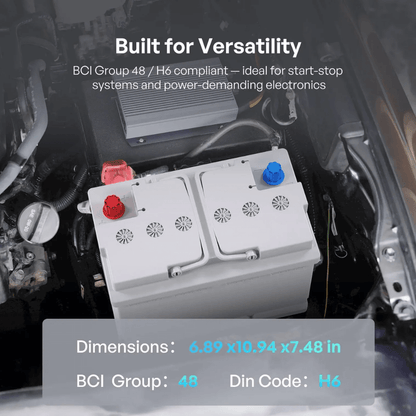 Renogy 12V 100Ah/200Ah Deep Cycle AGM Battery
