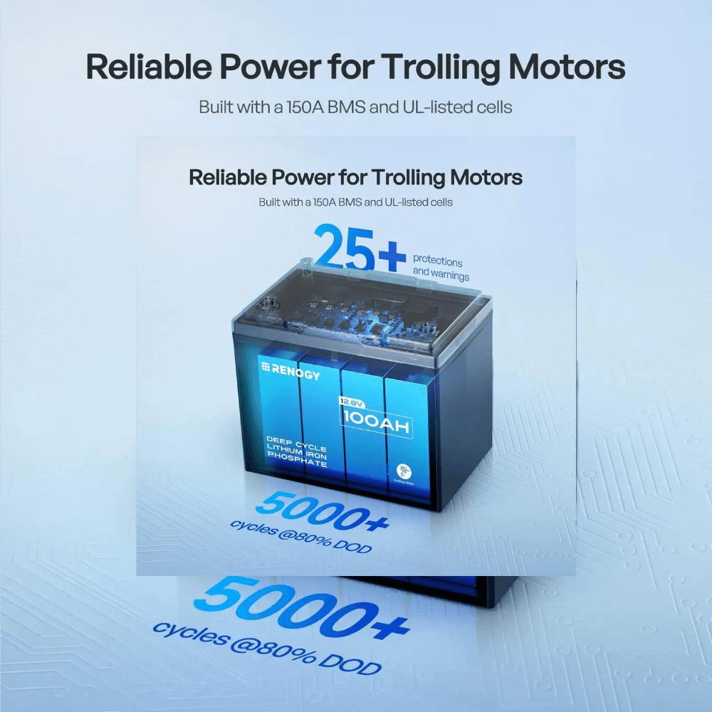 Renogy Mini Size 12.8V 100Ah Lithium Iron Phosphate Battery