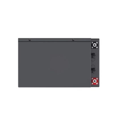 Renogy Pro S1 12V 120Ah / 240Ah LiFePO4 Battery