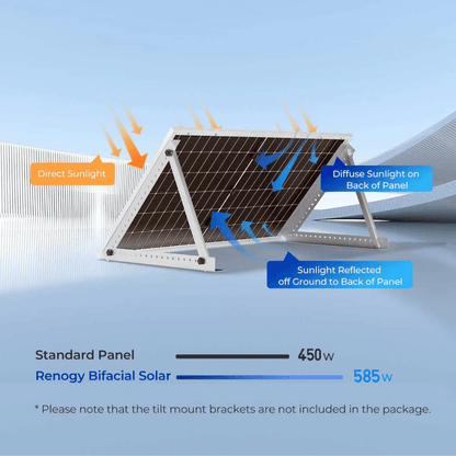 Renogy 450W Bifacial Solar Panel（2-Pack)