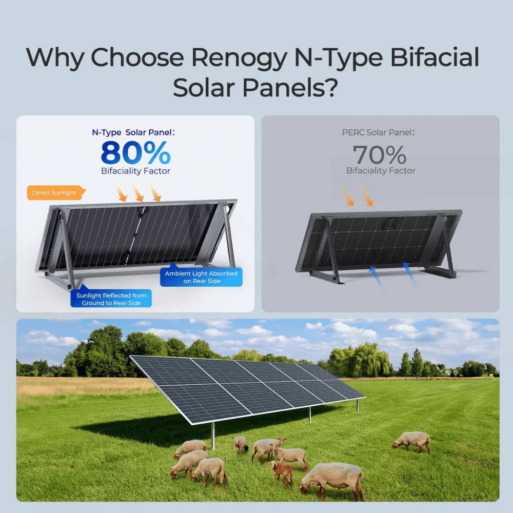 Renogy 590W N-Type Bifacial Solar Panel（2-Pack）