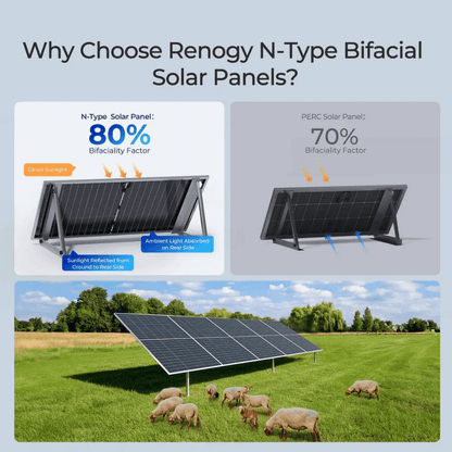 Renogy 590W N-Type Bifacial Solar Panel（2-Pack）