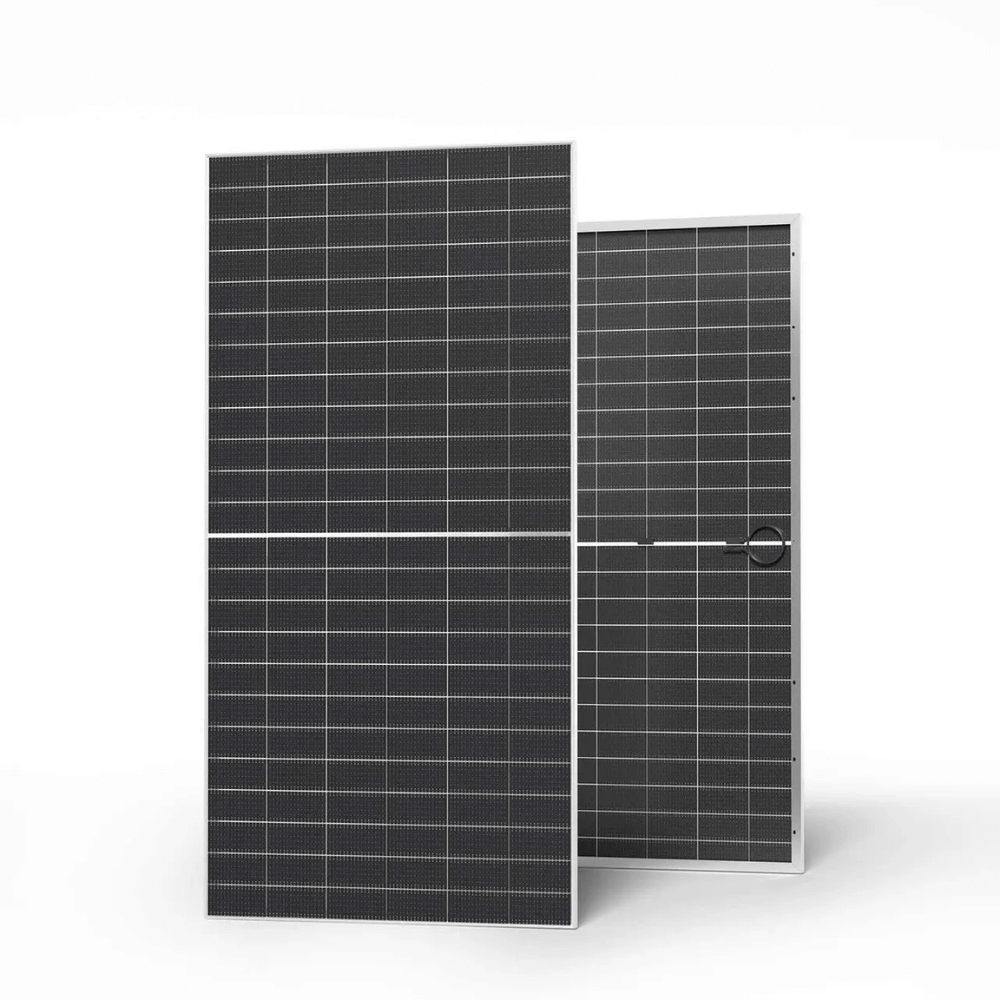 Renogy 590W N-Type Bifacial Solar Panel（2-Pack）