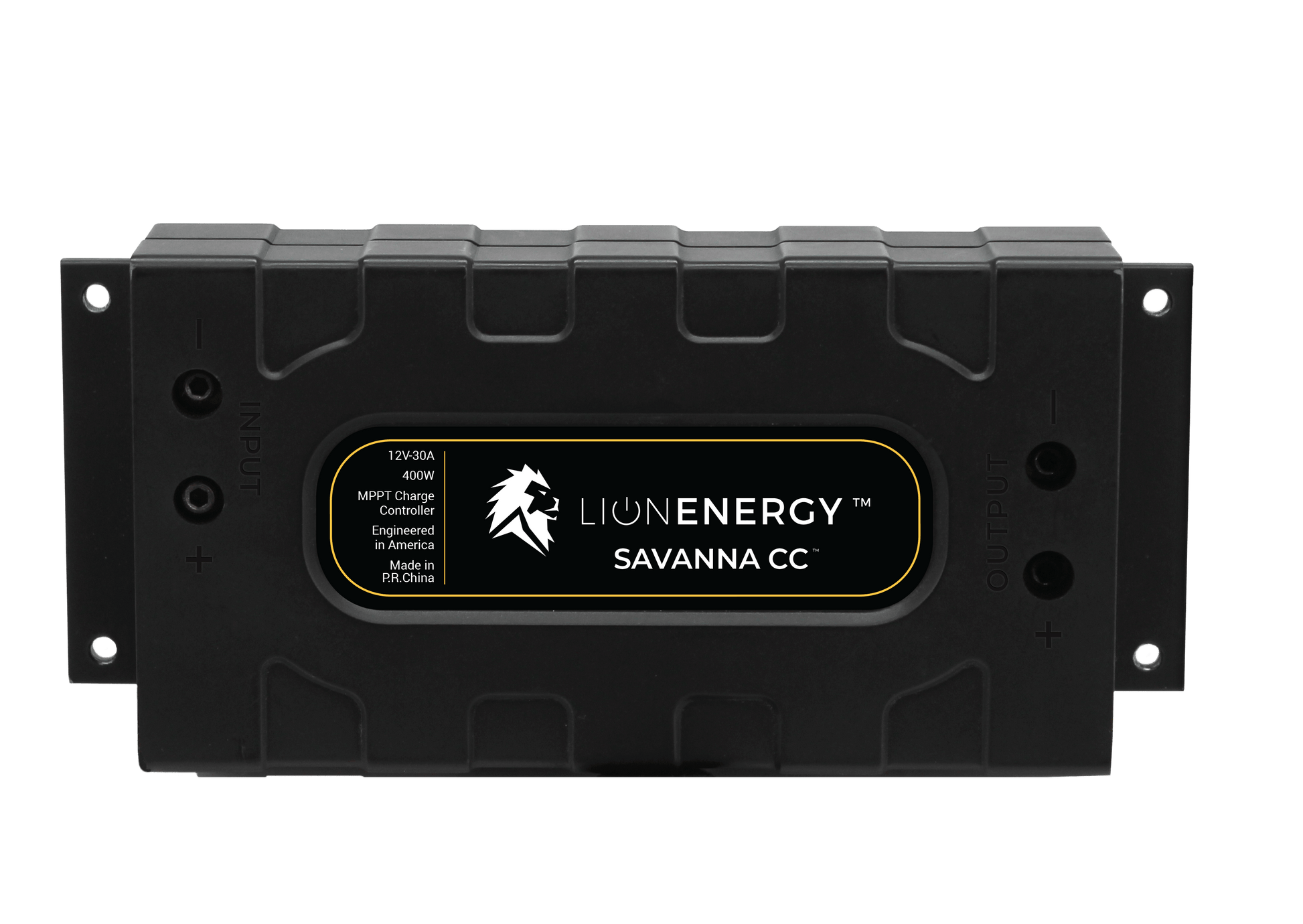 Lion Energy -Savanna BC - 45A Battery Charger